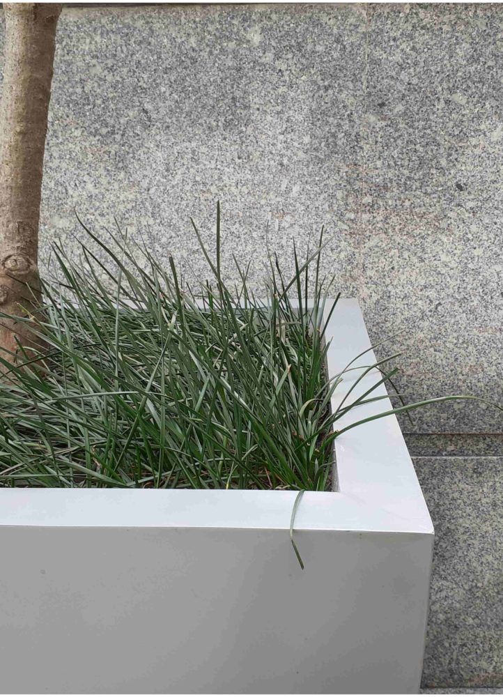 Clicked from Galaxy M20 (12)