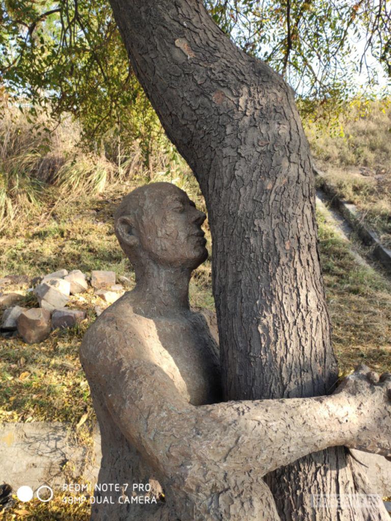 RN 7 Pro Camera sample 48mp 1