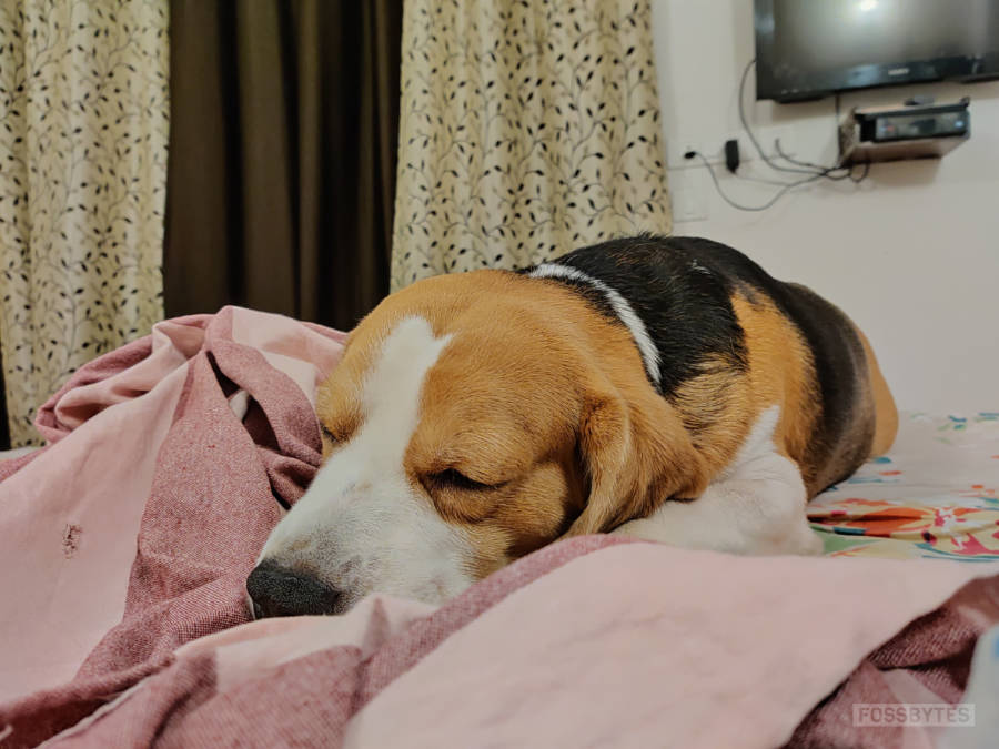 OnePlus 7 Pro Camera Sample 4.jpg