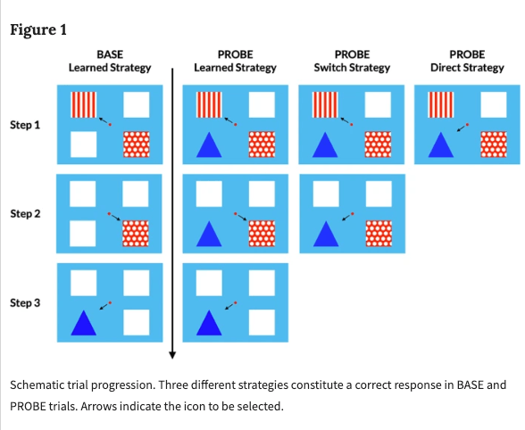 Monkeys humans defeat game