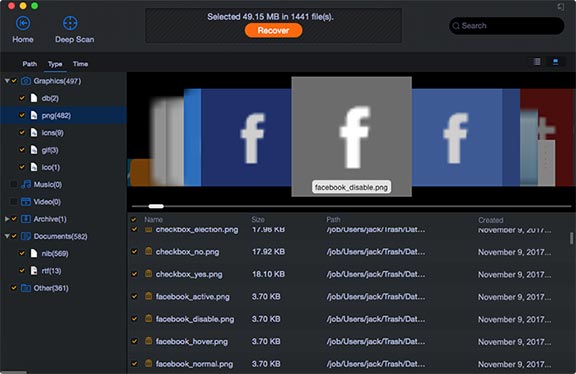 iBeesoft data recovery preview