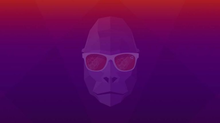 Ubuntu 20.10 Groovy Gorilla