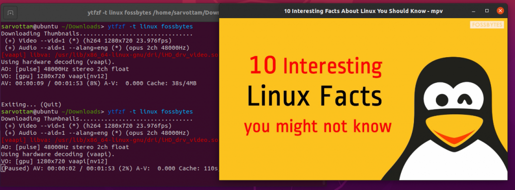 ytfzf playing videos using mpv player
