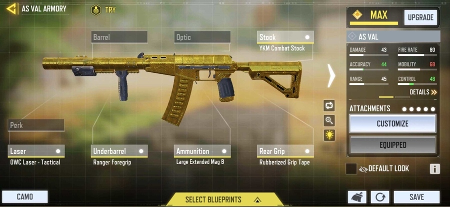 AS VAL stable loadout