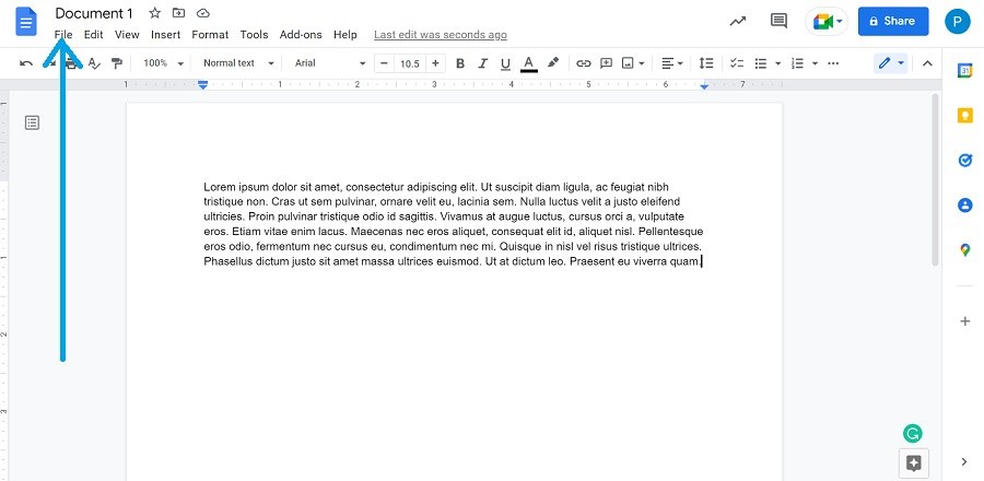 file option in ribbon menu in google docs