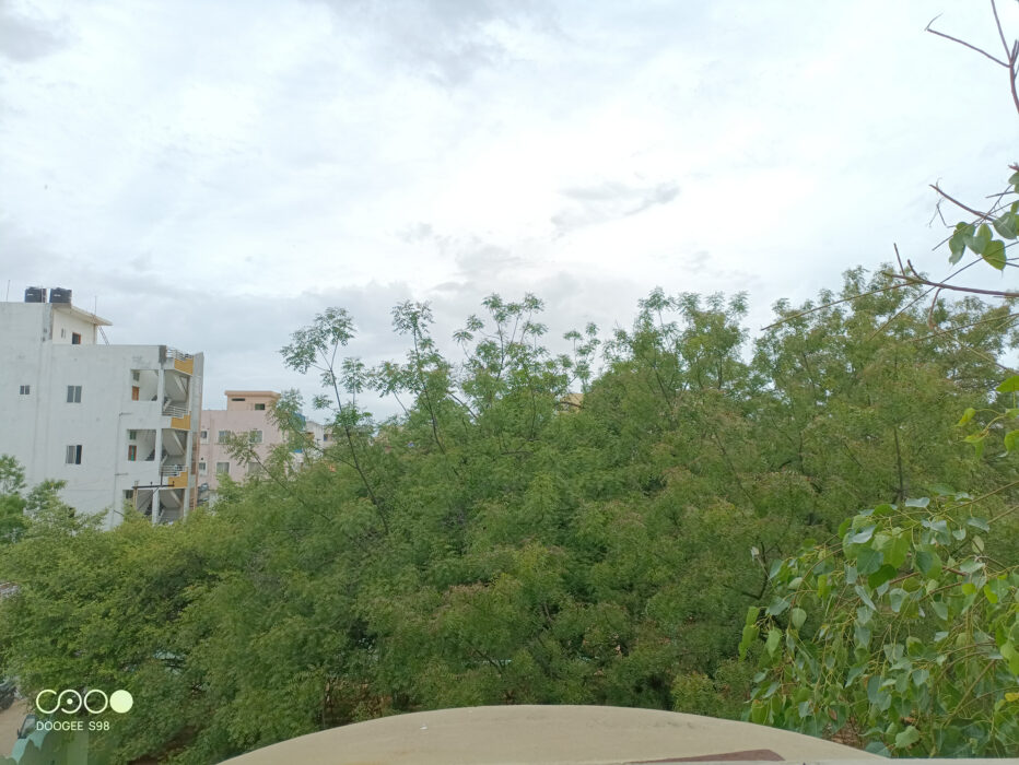 DOOGEE S98 landscape