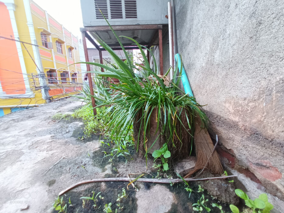 Doogee S98 Wide angle camera