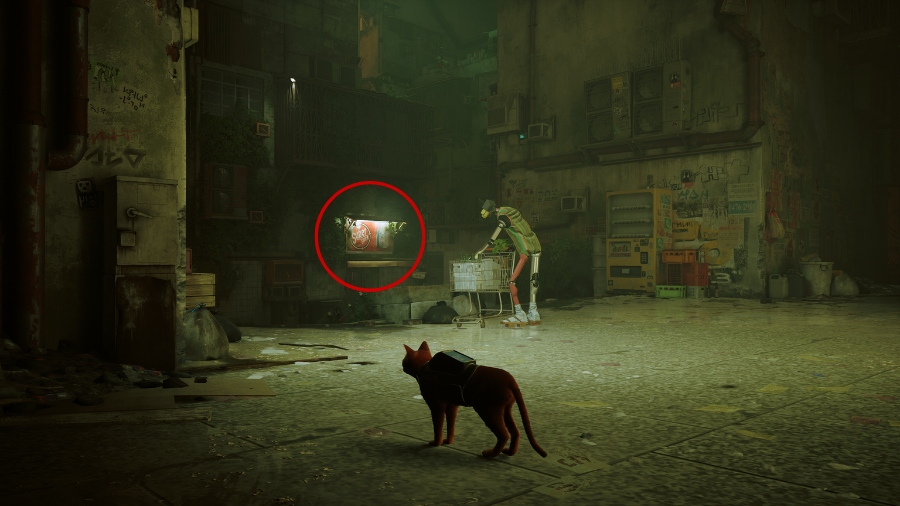 super spirit laundry location stray