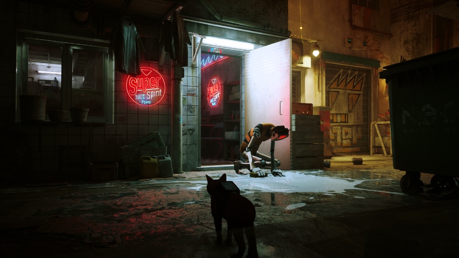 super spirit laundry stray