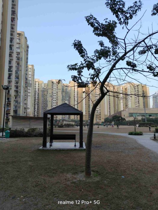 Image from the main camera of the Realme 12 Pro Plus 1