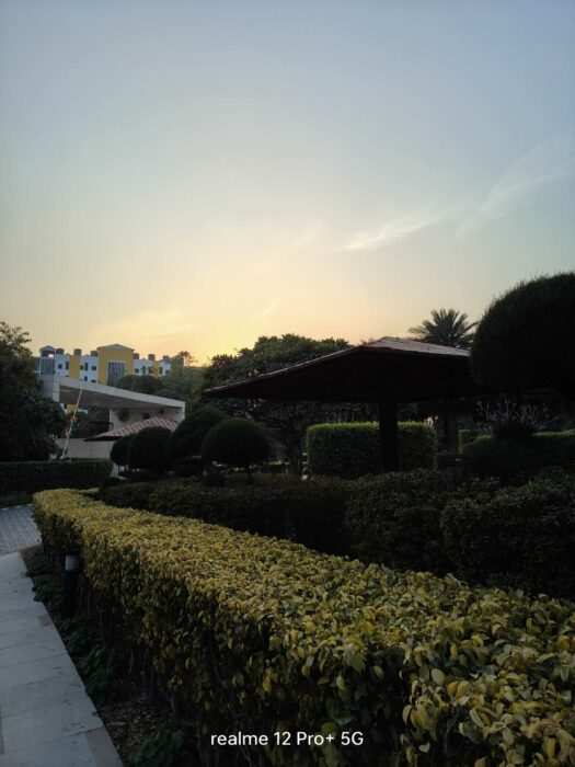 Image from the main camera of the Realme 12 Pro Plus 5