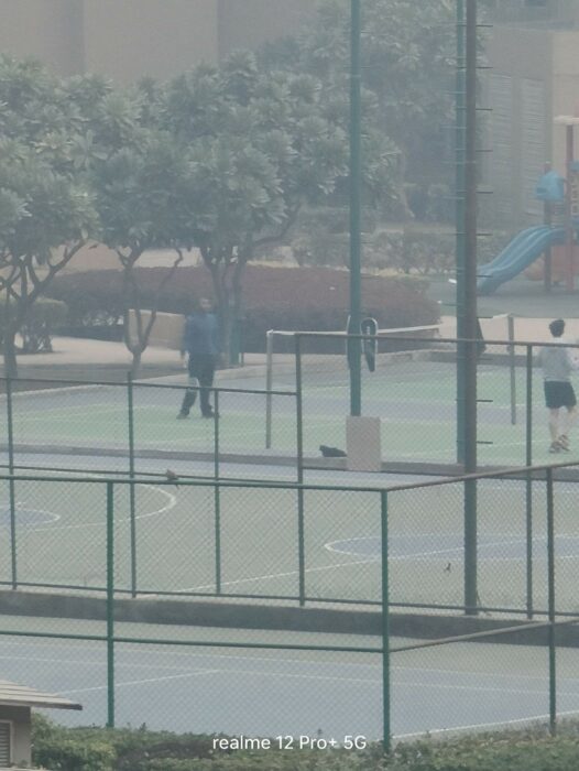 Image of a zoom shot from the realme 12 pro plus 4