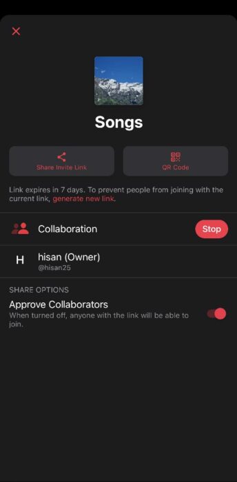 Screenshot of the Collaborative music playlists 3