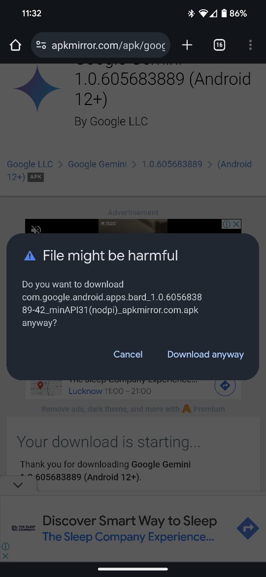 Screenshot of installing Gemini 4
