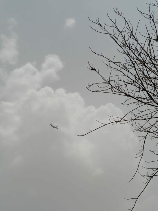 Daylight shot from the Realme GT 6-