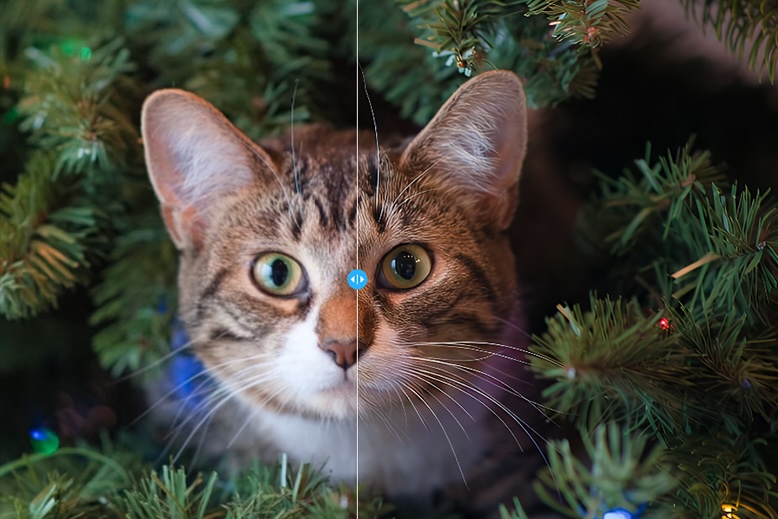 videoproc-converter-ai-enhance