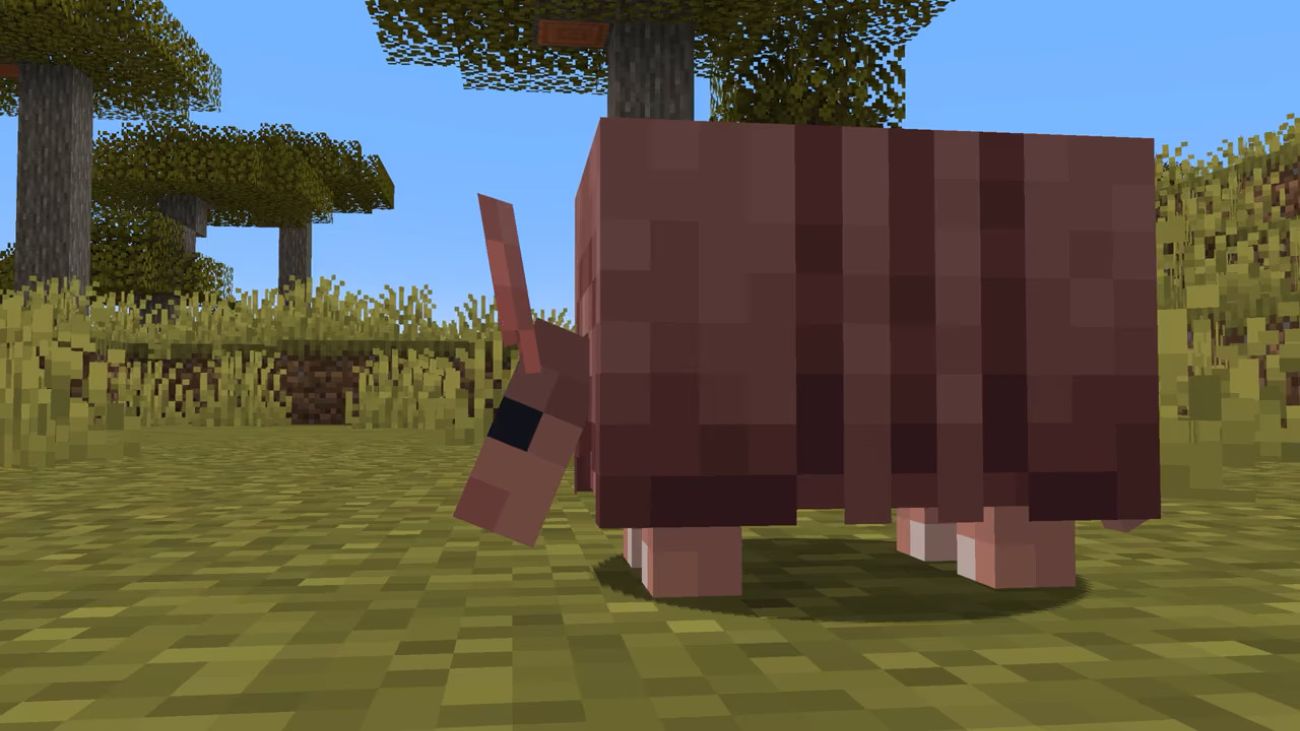 image of Armadillos in Minecraft