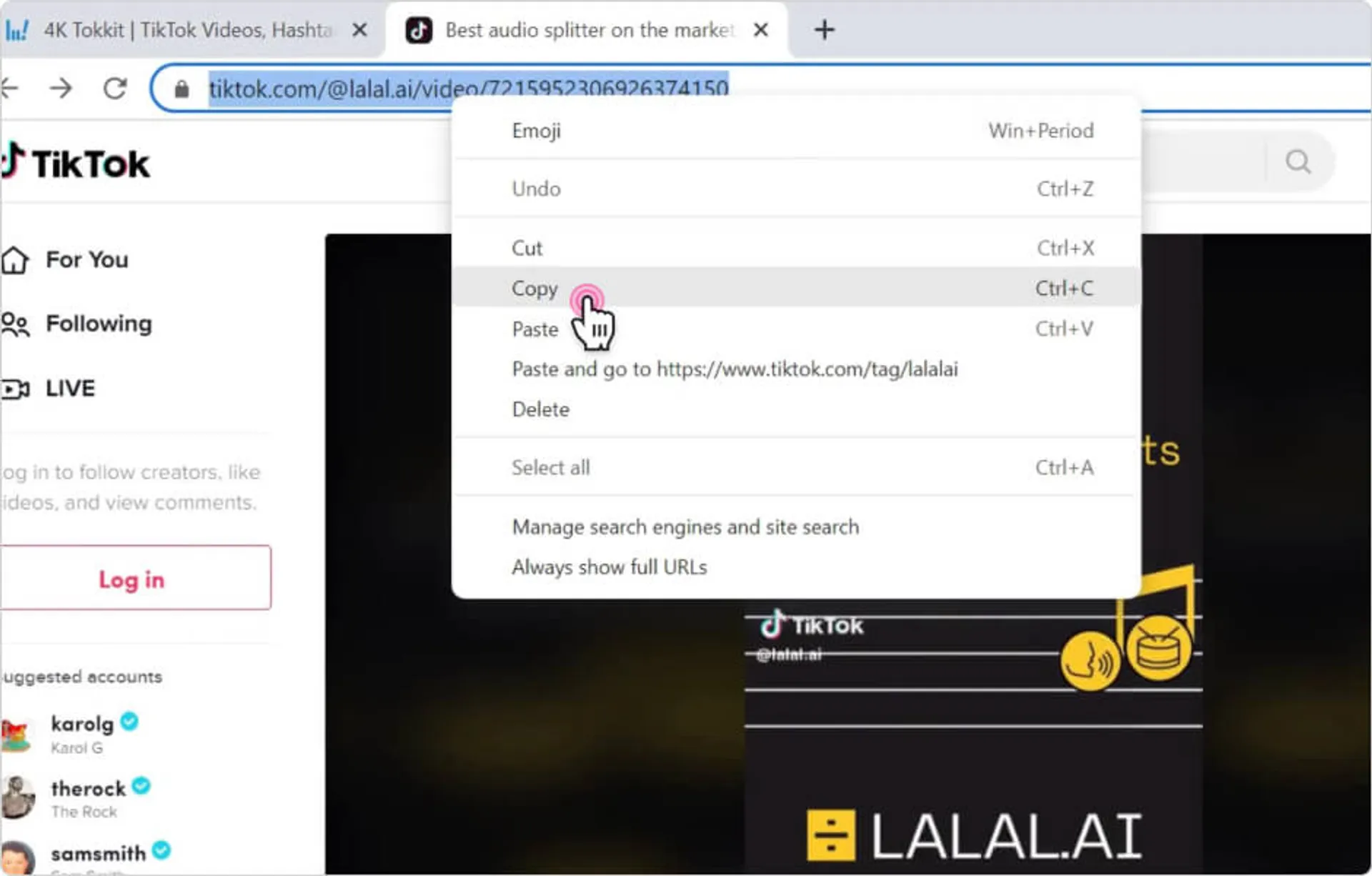 Image to Copy URL and Download TikTok video