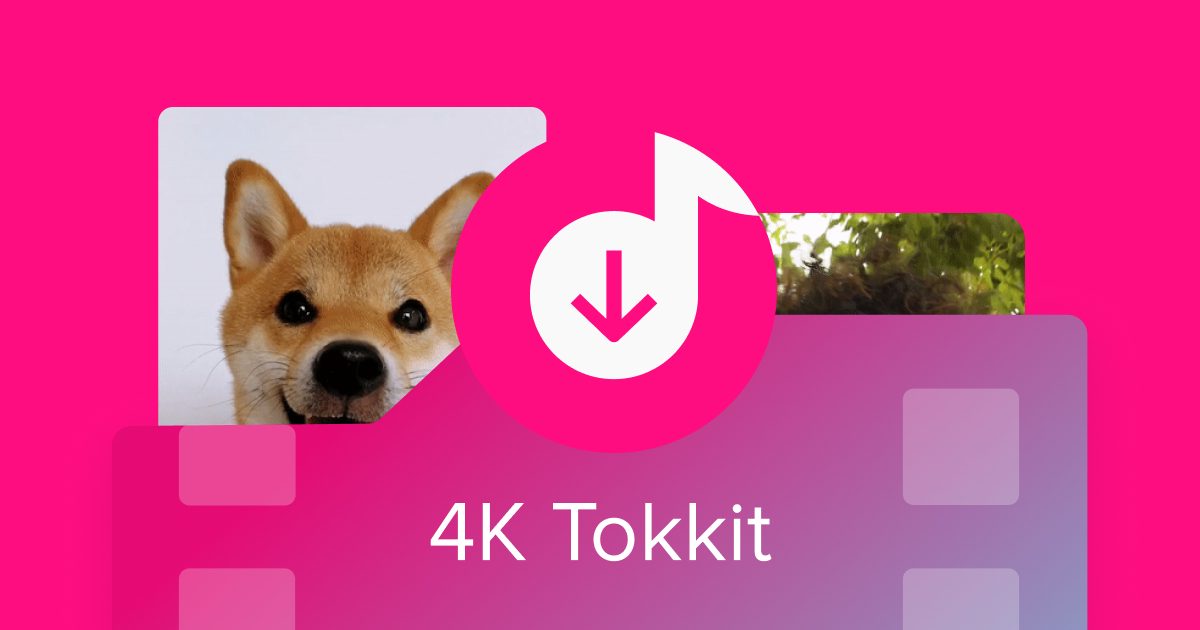 4K Tokkit TikTok video downloader