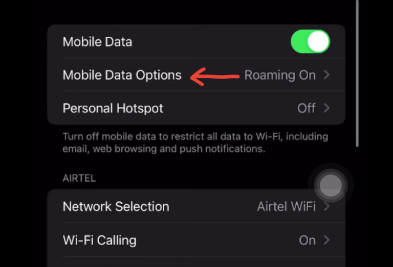 image for Mobile Data Option for LTE on iPhone