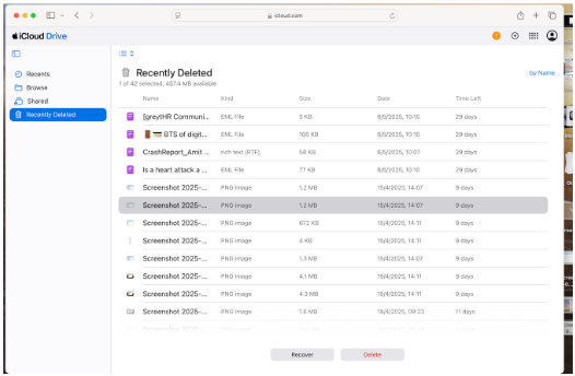 Image of the recently deleted section