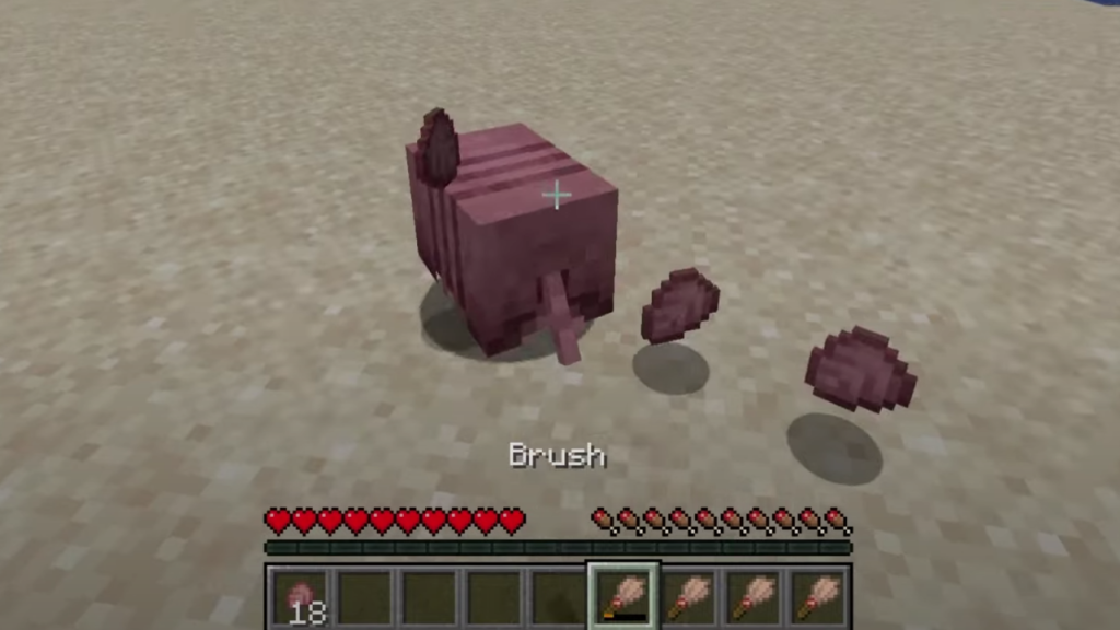 image to Use a Brush to Collect Scutes