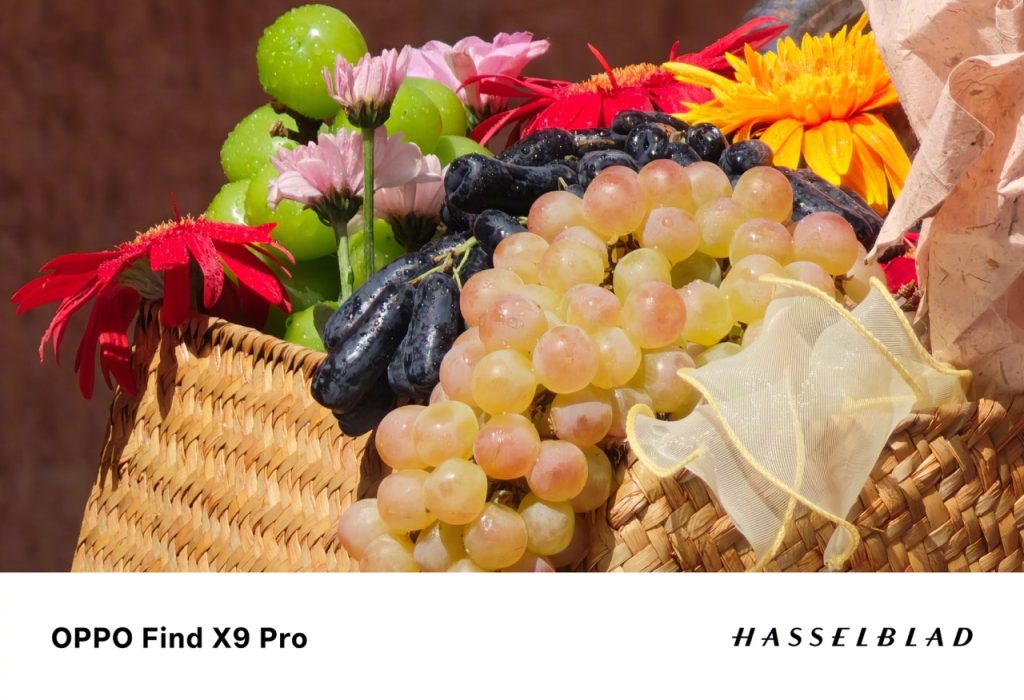 OPPO Find X9 Camera sample